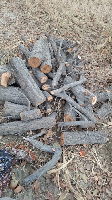 Утин сотилади...