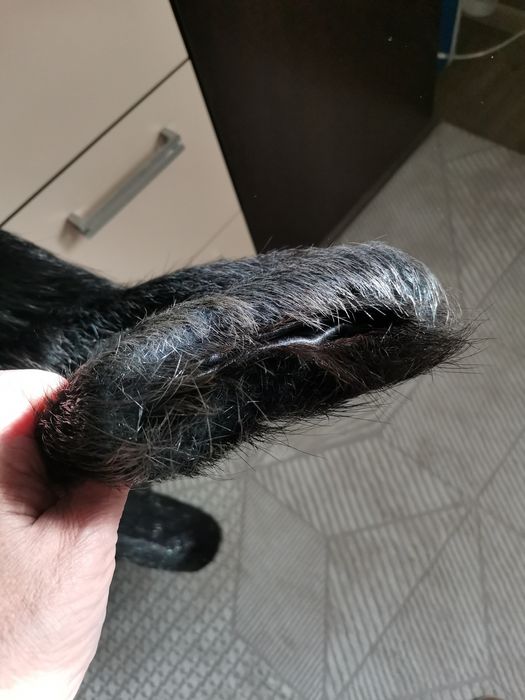 Шуба нутриевая без капюшона