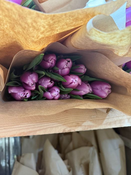 Тюльпаны оптом  и в розницу 350тг