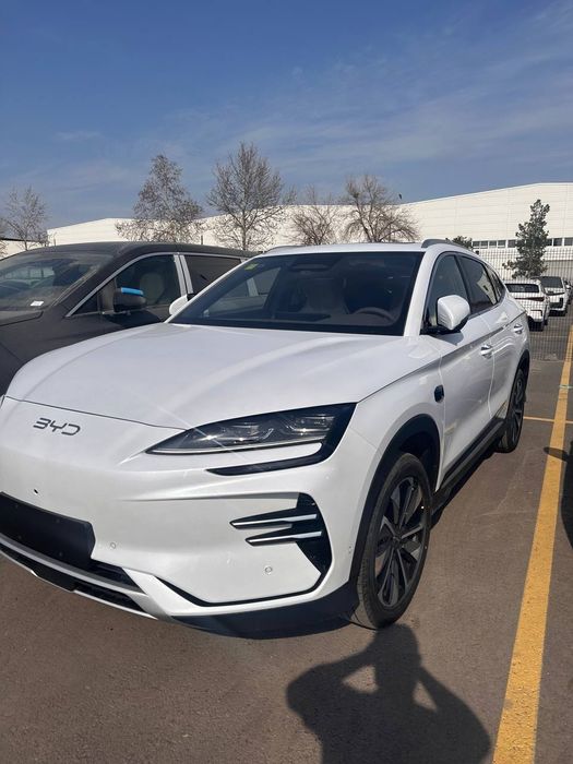 Byd Champion smart Ayselda tayyor