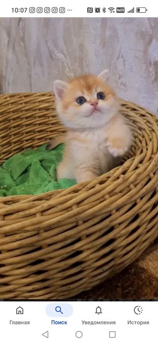 Шикарные малыши от правильной вязки