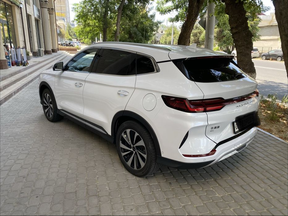 BYD fleshchip 605