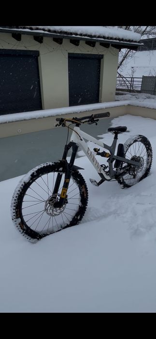 Canyon spectral Fabio wibmer 2023