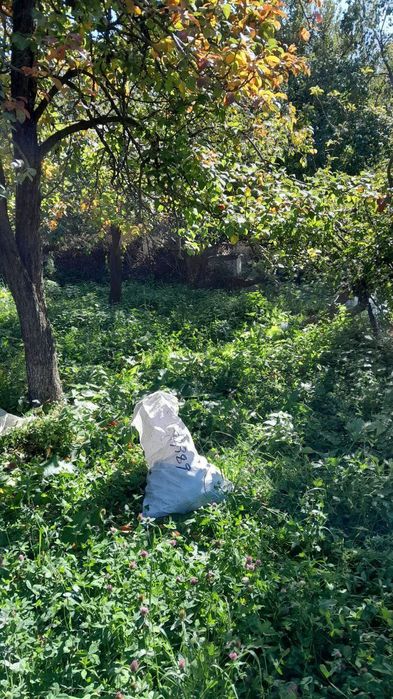 Дача Нанайда пустой йер