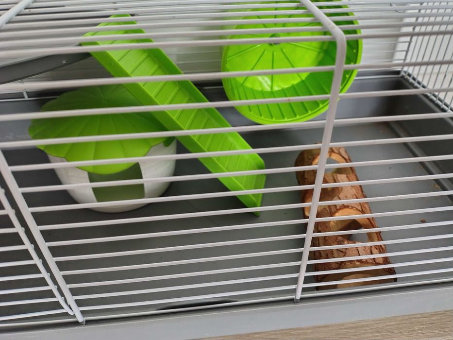 Cusca hamsteri cu accesorii