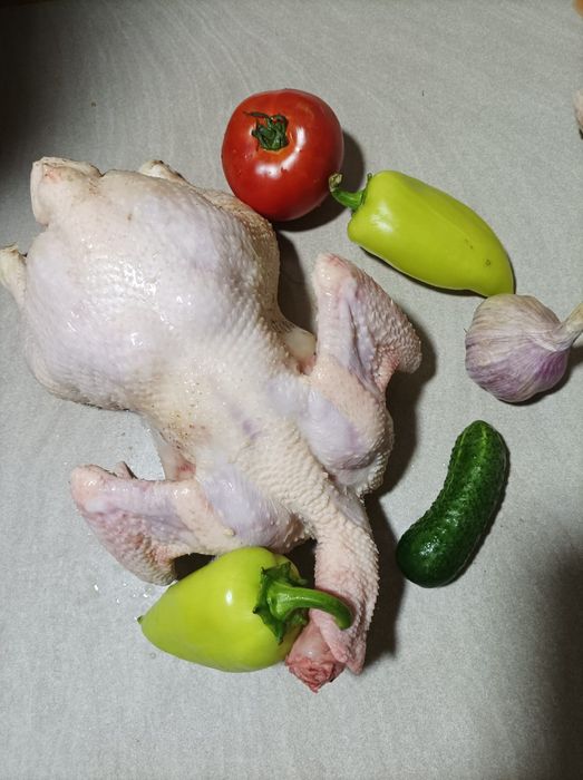 Домашние куры бройлеры
