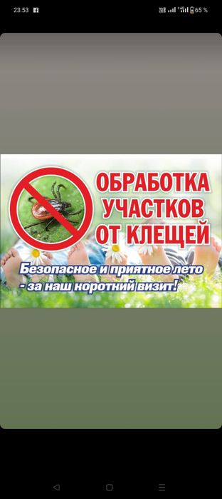Обработка от насекомых дезинфекция помещений уничтожение насекомых