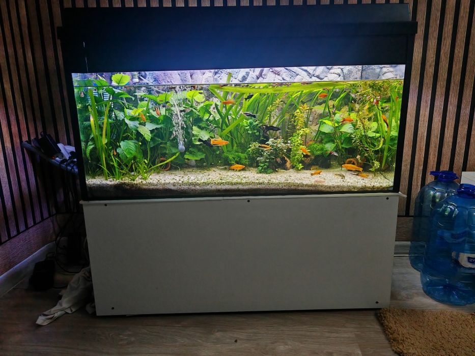 Acvariu cu capac 200l