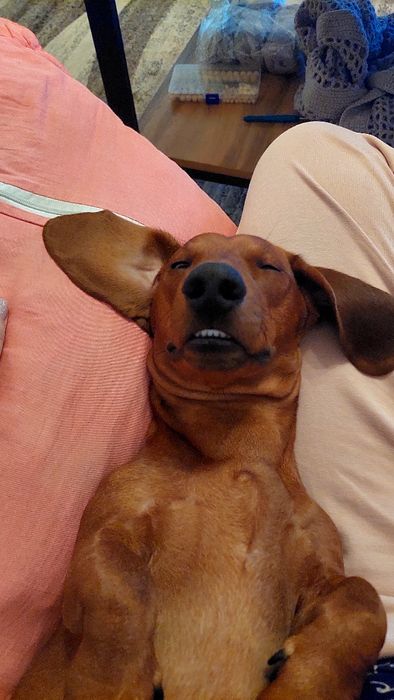 Мальчик для вязки