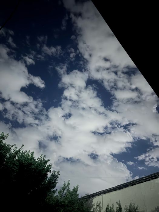 Natjnoy Potolok xizmati