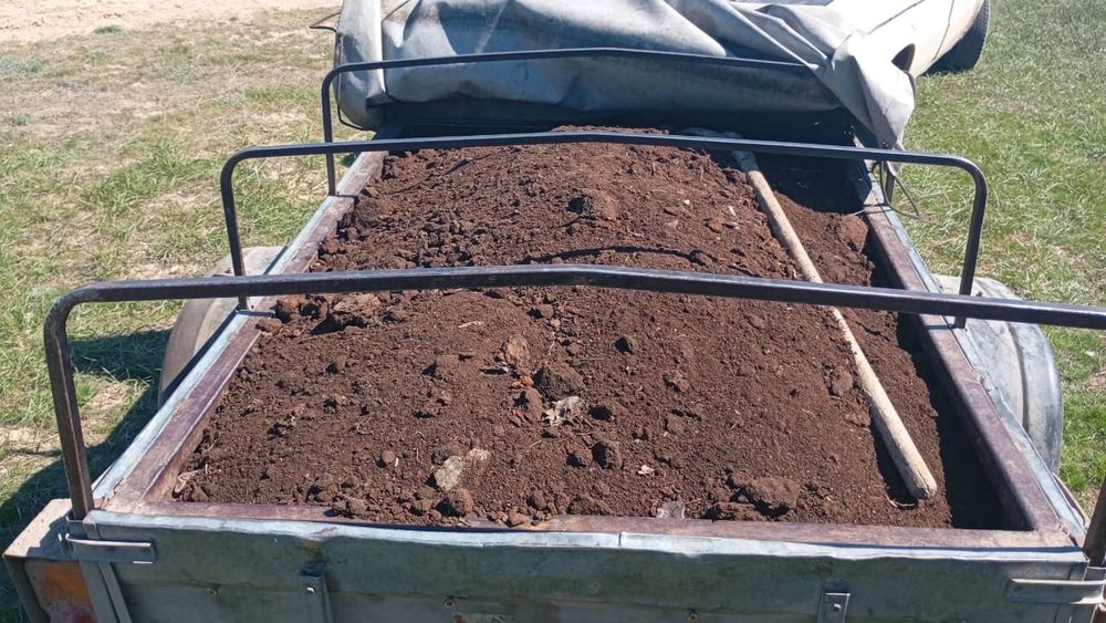 Продам чернозем...