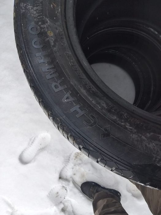 Баллоны на 225/55/19