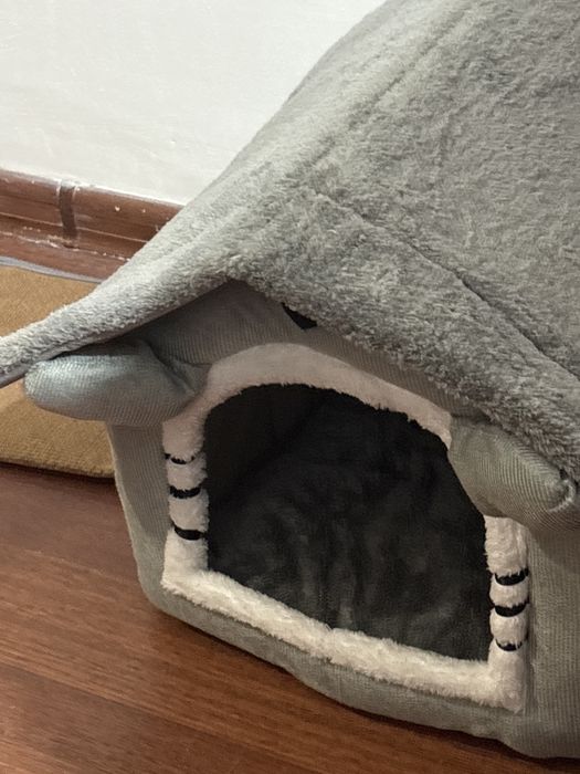 Отдам котенка в добрые руки.