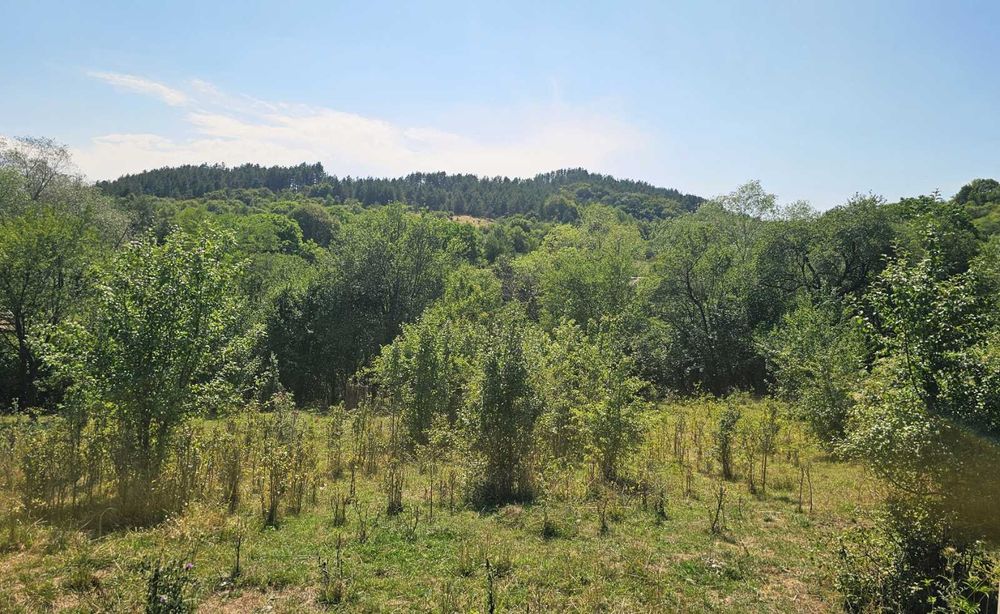 Продава се Парцел в с. Бутроинци, Област Перник - 1000 кв.м за 30 €/кв.м - Снимка #1