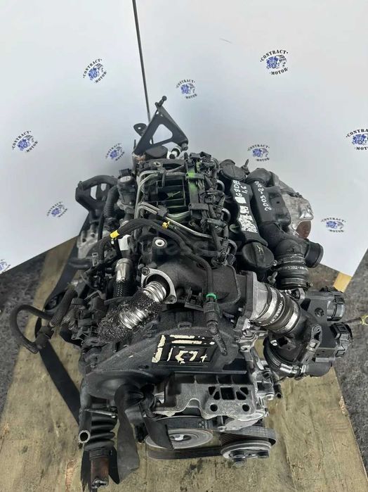 G8DB двигатель 1.6d турбо дизель Ford C-Max, Ford Focus