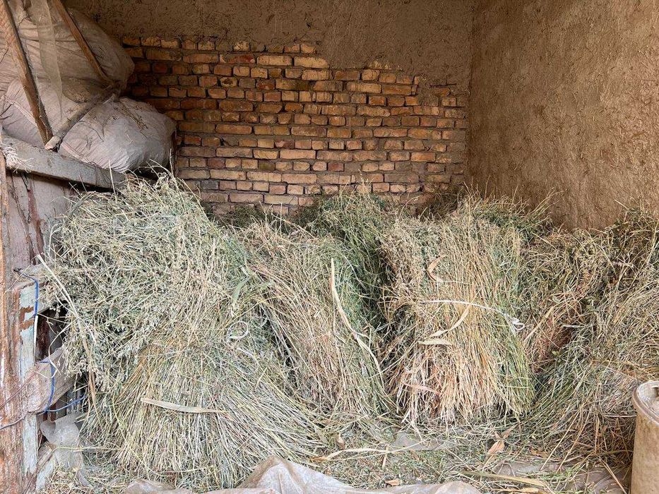 Бедалар сотилади, келишилган нархда.