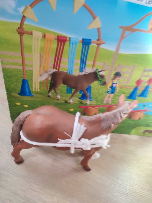 Cai schleich foarte bine îngrijit