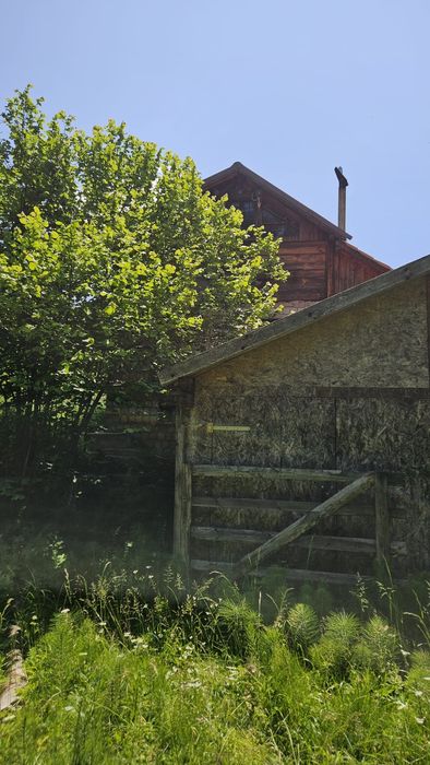 SITA BUZĂULUI – Proprietate deosebită cu teren intravilan 1.600 mp, pârâu, fâneață și pădure