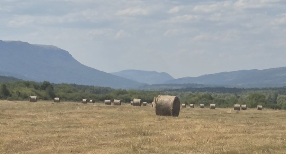 Рулонни бали сено