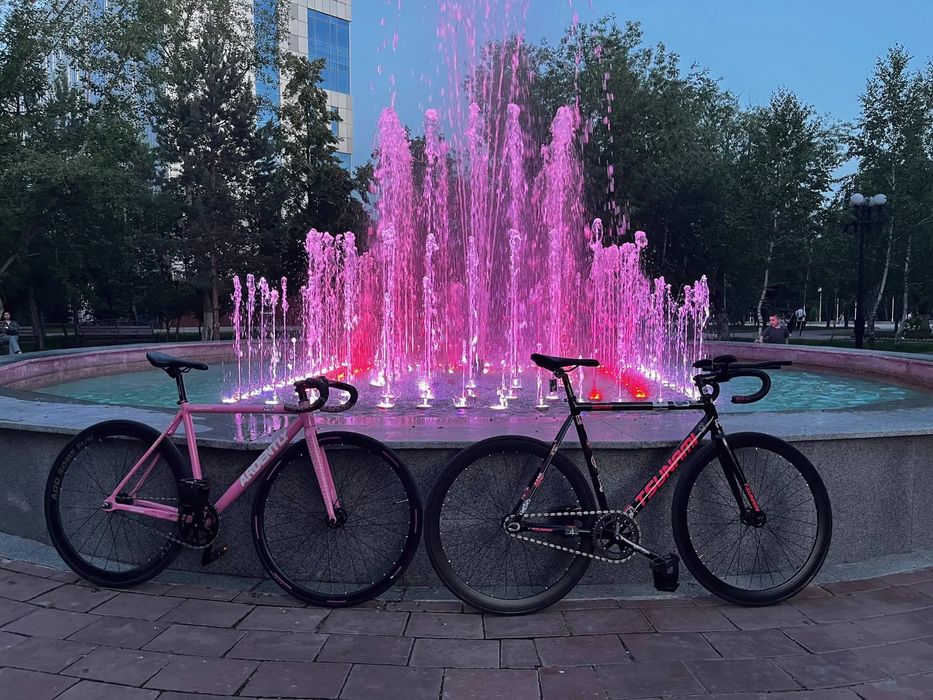 Fixed gear ardently arena lite