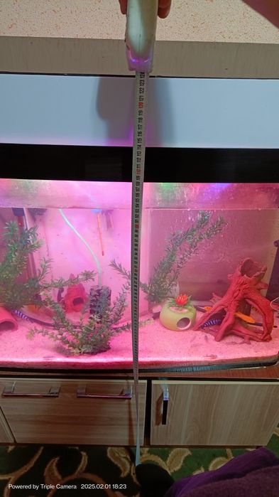 Akvarium quyma akril 250 Tali Ulgurib qoling+baliqlari bilan