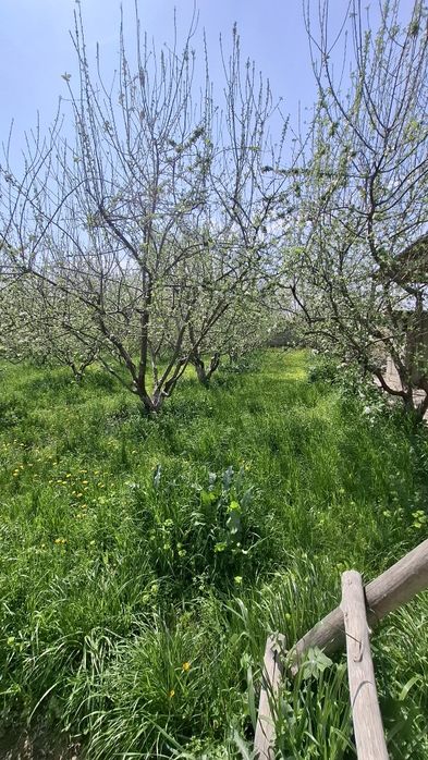 Уй ховли участка