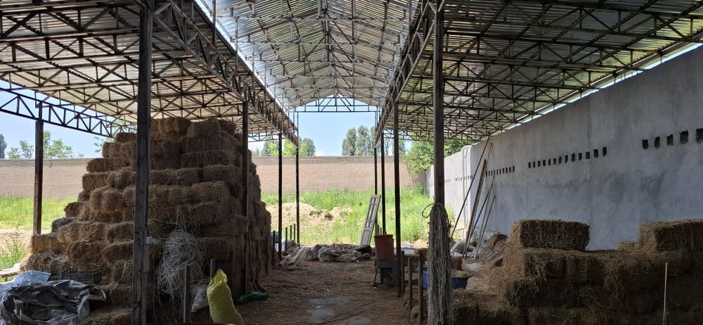 Ferma sotiladi 18 sotix