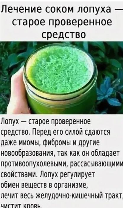 Сок лопуха.                                    .