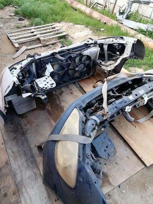 Передний морда ipsum