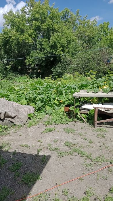 Продам дом в Михайловке