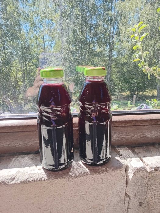 Sirop de mure300mlsticla