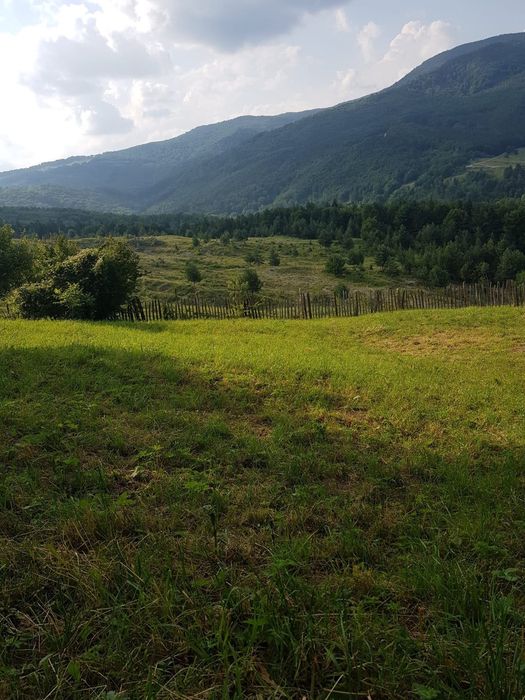 casa pamant de afaceri