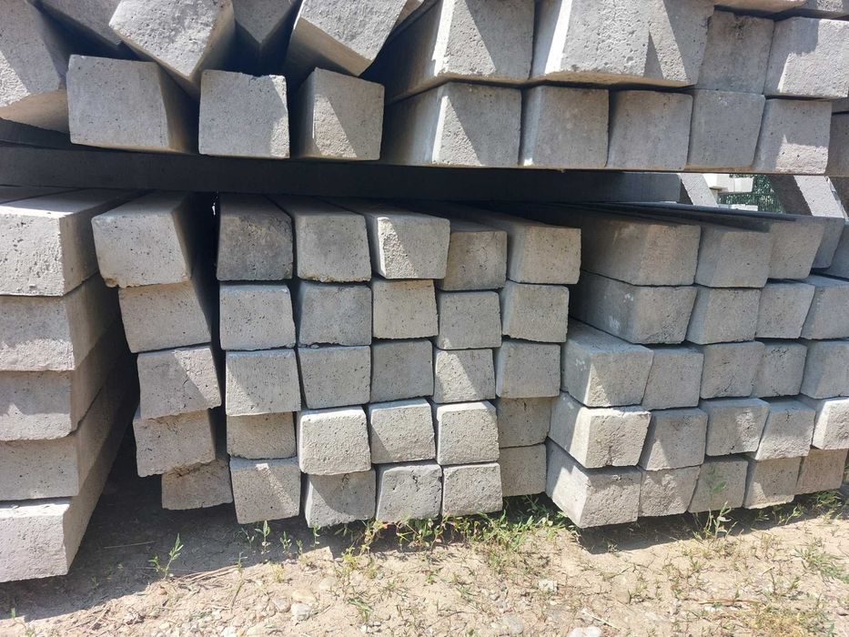 Stalpi beton/Spalier vita-de-vie, pomi fructiferi
