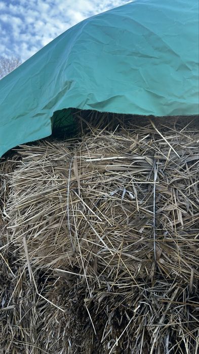 Луговое Сено, жай шоп