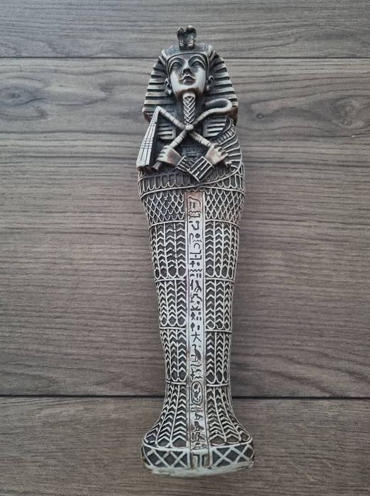 Sarcofag adus din egipt