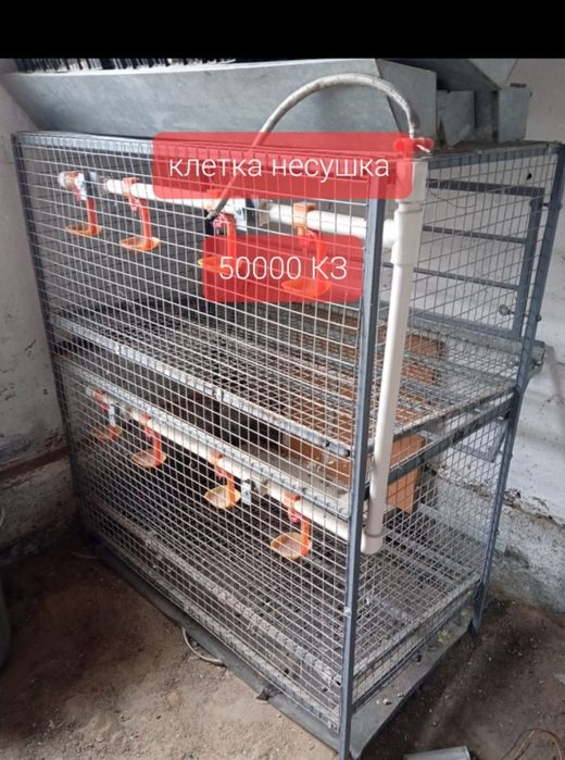 Продам инкубатор