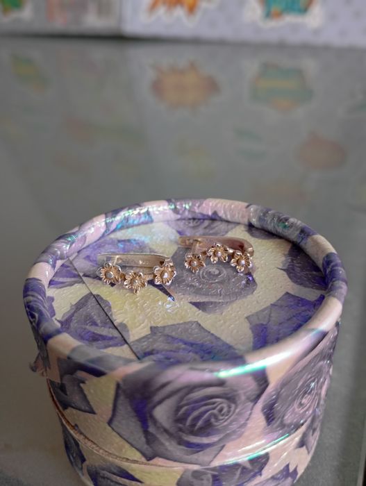 Сребърни Обеци 25лева.