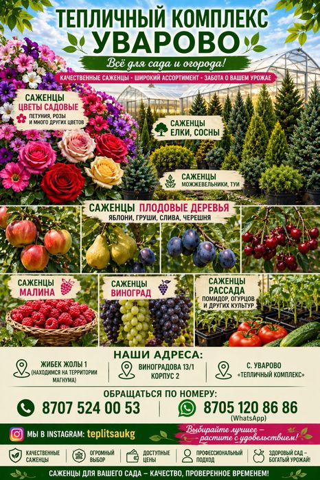 Розы, рассада, елки, деревья