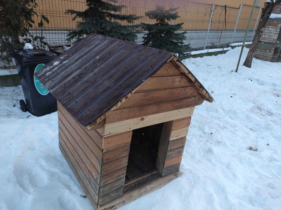 Vand cusca caine talie mare