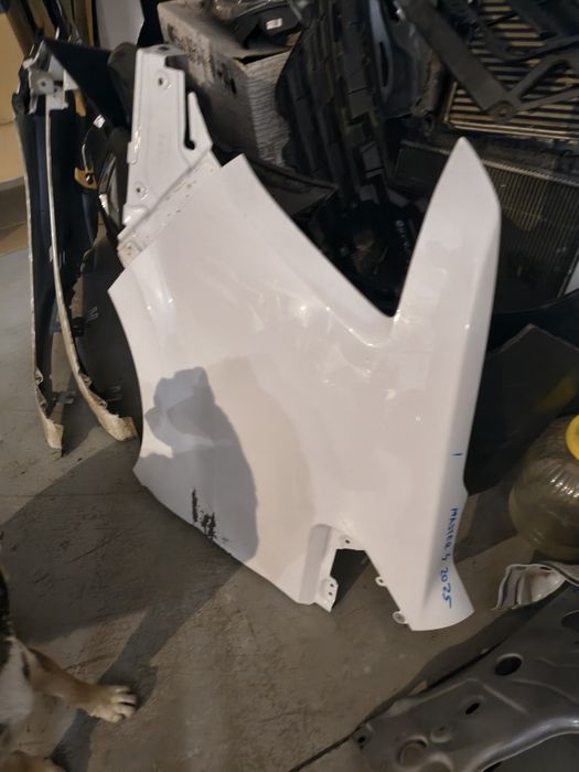 Aripă Stânga față Renault Master 4 . 2025