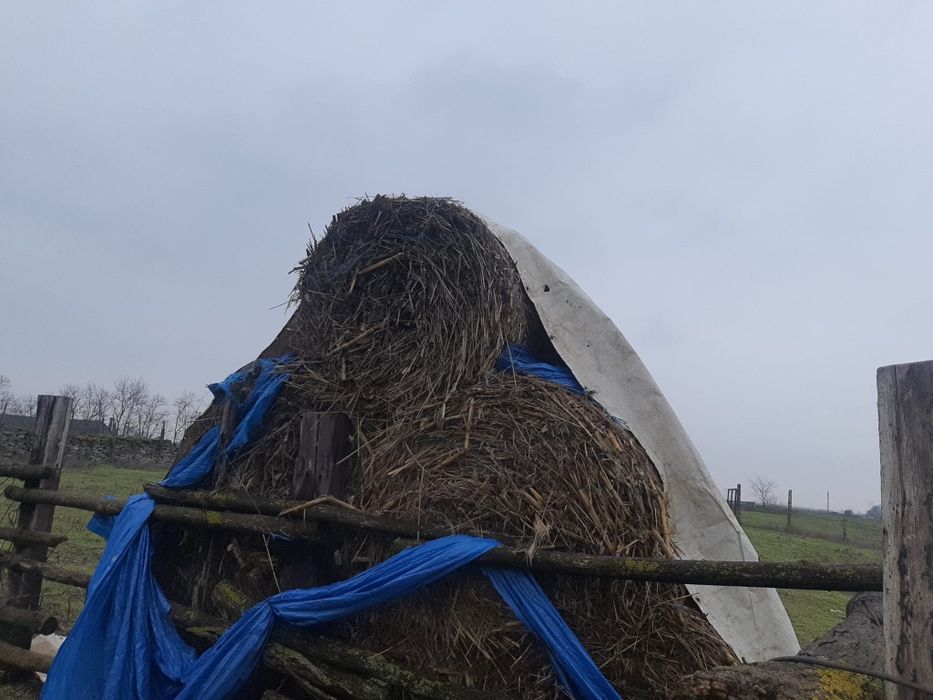 Baloti rotunzi nutreț animale