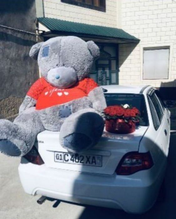Teddy Тедди 30 sm dan 3 metrgacha