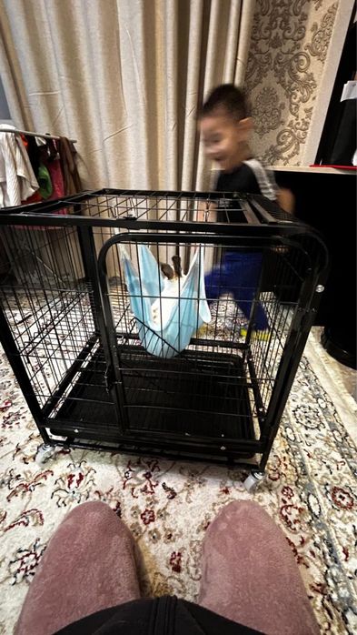 Продам клетку для кролика новый