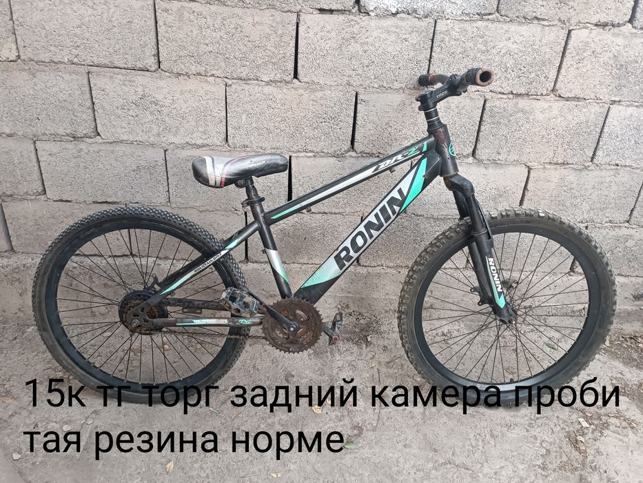 Прадетса велики алматы