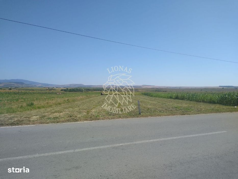 Teren 20000 mp (2 ha)-parcelabil-ideal cabane/agricultura/ferma-Jelna