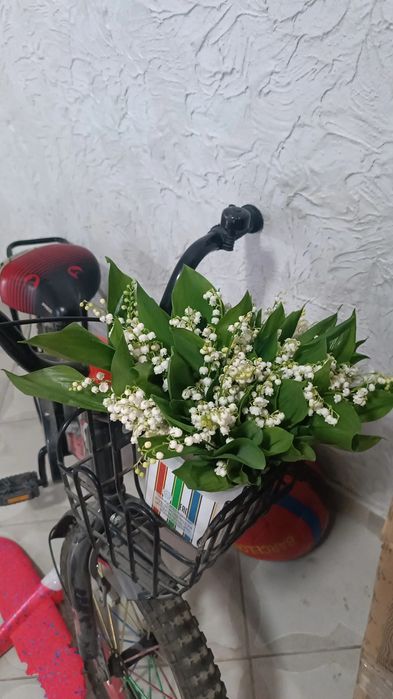Цветы, букты ландыши