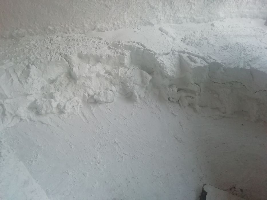 Vand var pasta si bulgare