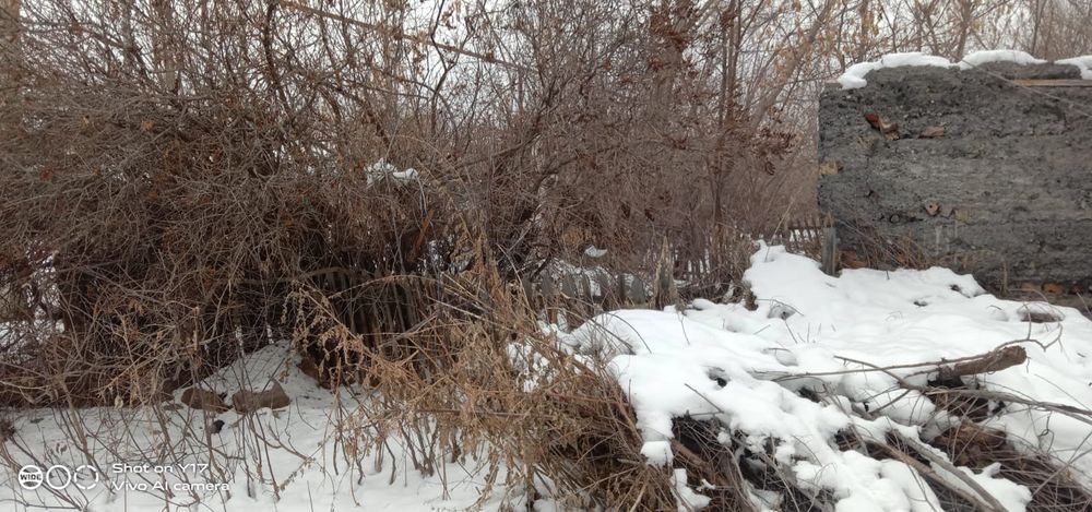 Продам дом в г.Зайсан