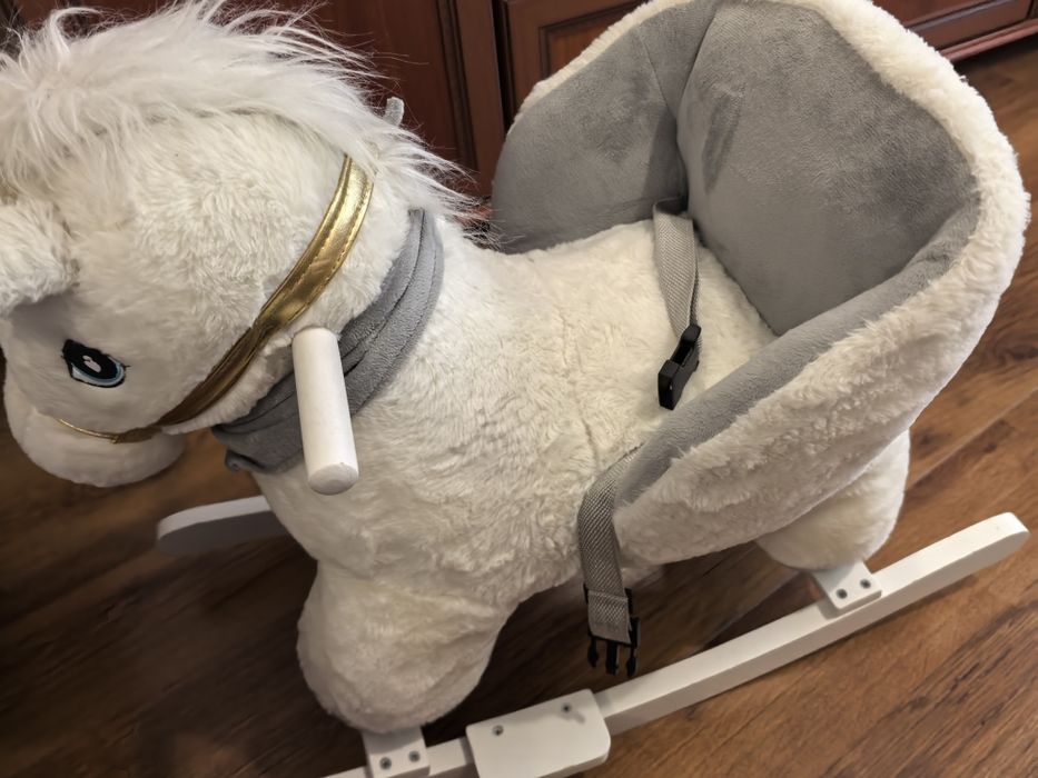 Люлеещо се конче