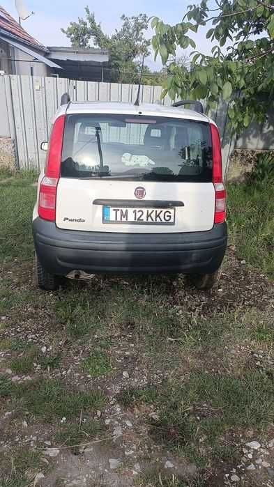FIAT Panda 2008 — imagine 3